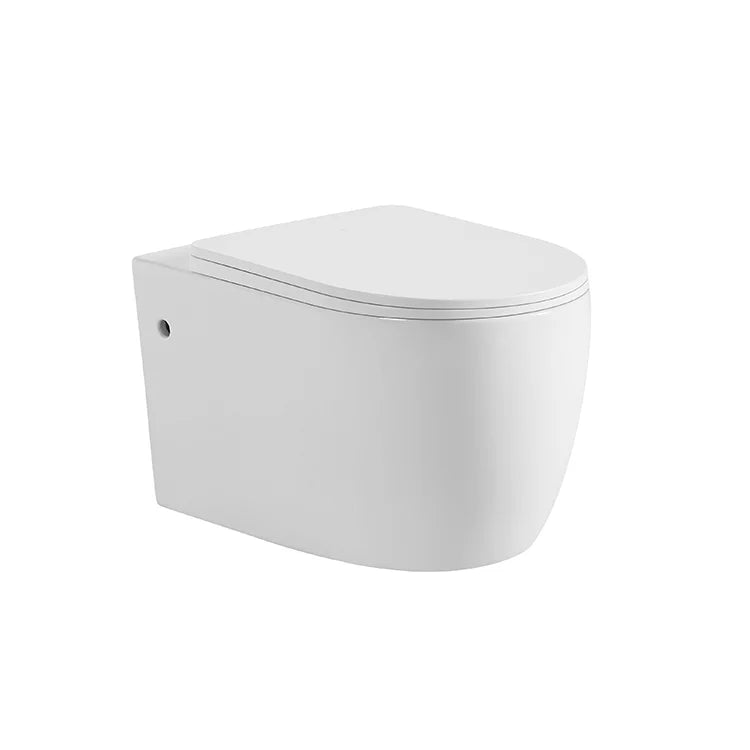 Aqualis Rimless Wall Toilet
