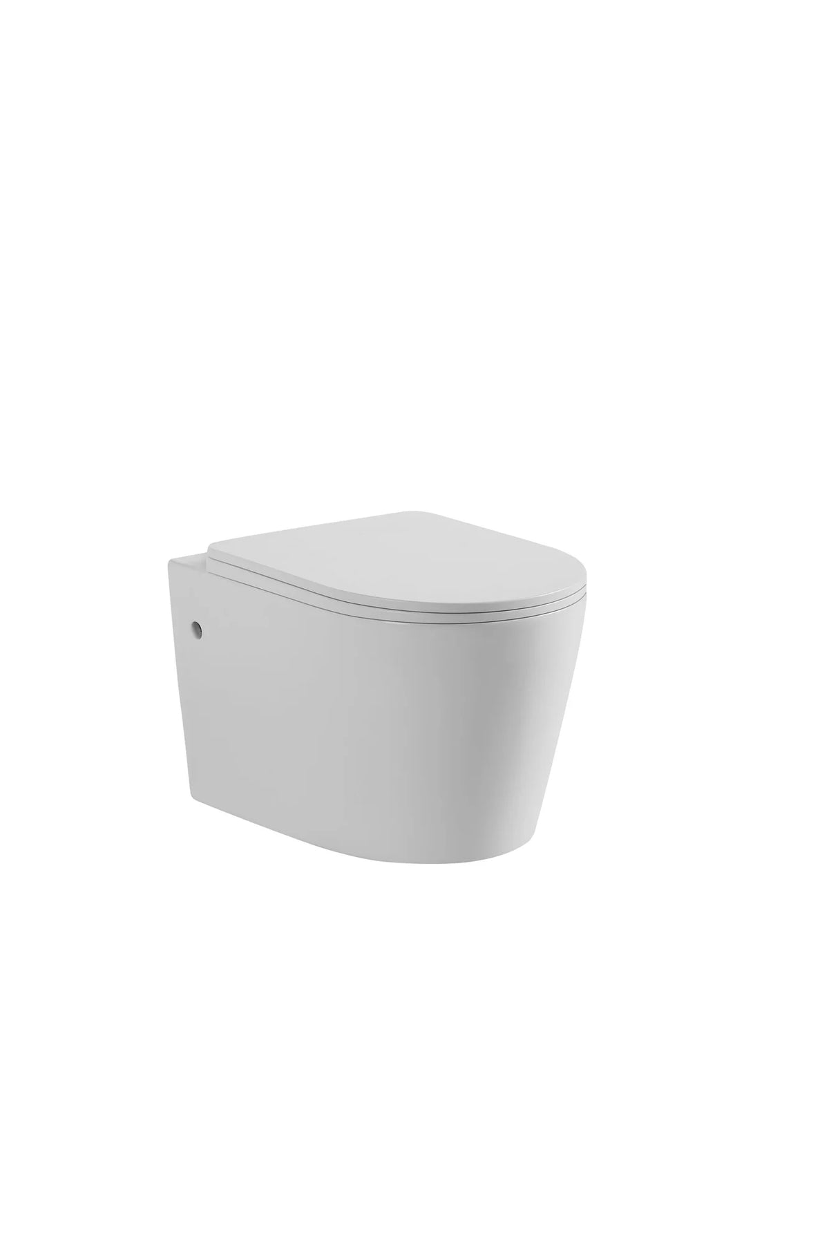 Rainia Rimless Wall Toilet
