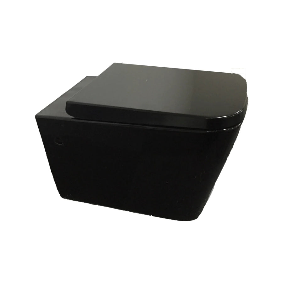 Qubist BTW Wall Hung Pan