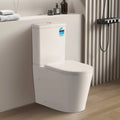 Avis Rimless Toilet Suite — detail 2