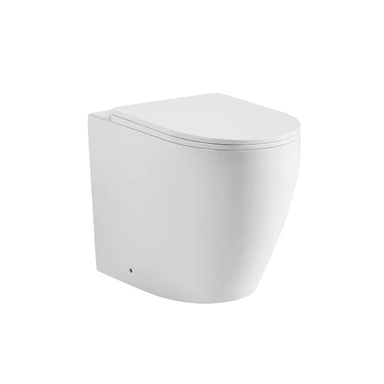 Sereno Rimless Wall Toilet