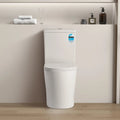 Avis Rimless Toilet Suite — detail 3