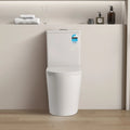 Avis Rimless Toilet Suite — detail 4