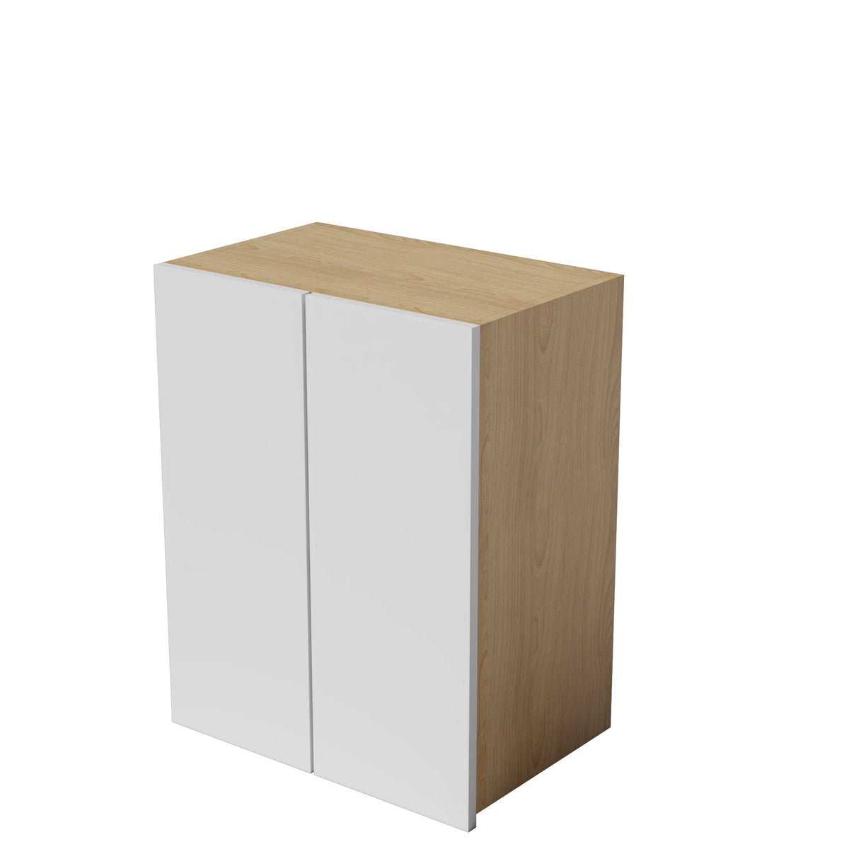 Kitchen Wall Cabinet 2 Doors Kitchen Cupboard