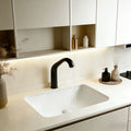 KDK Insert Basin — detail 3