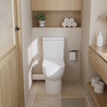 Bela Skew Toilet Suite — product view