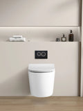 Veda Rimless Wall-Mounted Pan — product view