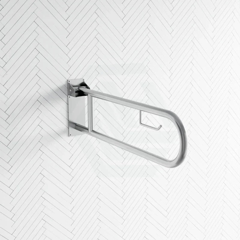 Grab Rail with Toilet Roll Holder